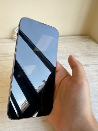 iPhone 13 Pro Max | Negozio | Garanzia