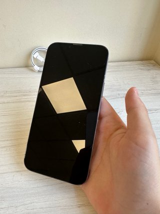 iPhone 13 Pro Max | Negozio | Garanzia
