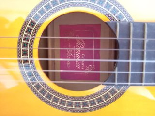 Guitarra Española Clásica + funda + púas
