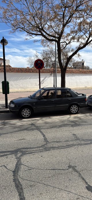 Peugeot 309 1992