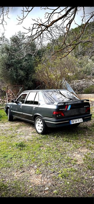 Peugeot 309 1992