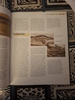Libro de lectura