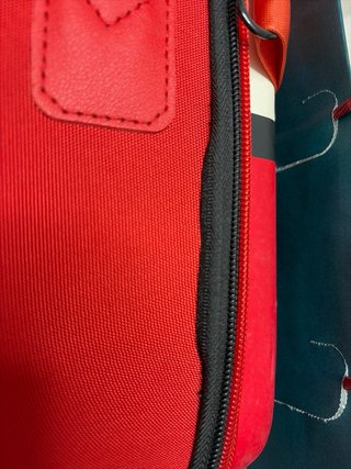 Funda Nintendo Switch Pokémon