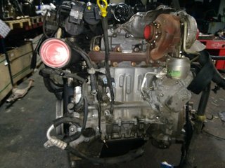 MOTOR COMPLETO FORD FOCUS BERLINA (CAP) Ambiente