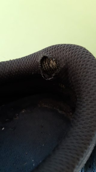Zapatos de seguridad Dexter grises
