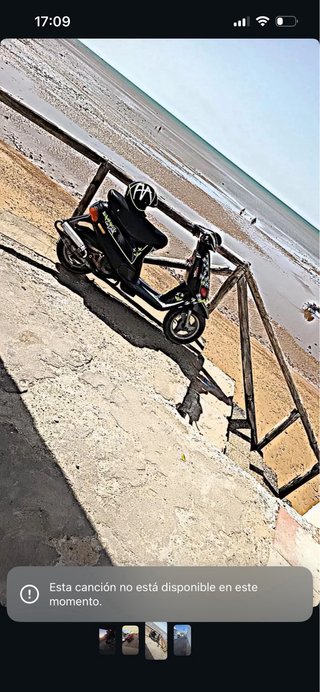 Zip Rider Scooter Negra