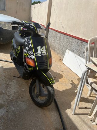 Zip Rider Scooter Negra