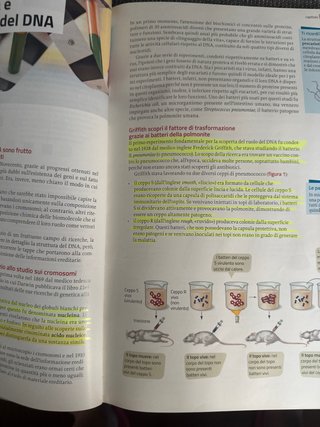 Il nuovo invito alla biologia.blu
