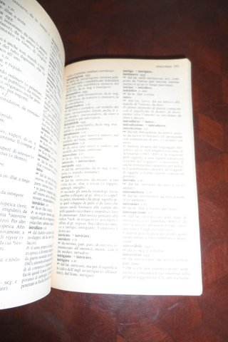 Dizionario etimologico della lingua italiana l'...