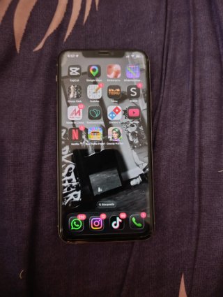 iPhone 11 Pro Max Gris