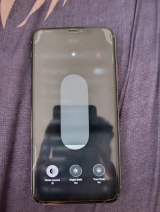 iPhone 11 Pro Max Gris