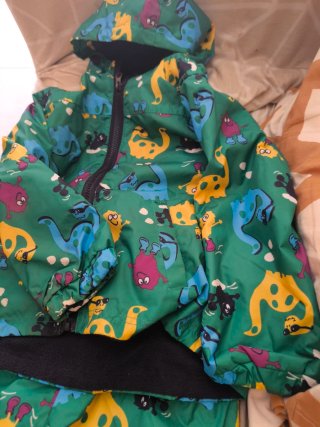 Chubasquero niño dinosaurio 3 años 100cm