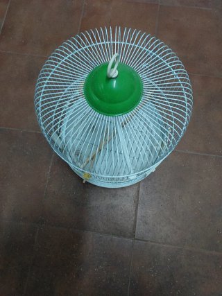 Jaula redonda mediana blanca y verde