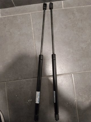 Amortiguadores portón Peugeot 206