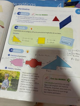 Matemáticas 4 Primaria