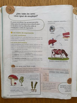 Ciencias de la Naturaleza 5 Primaria Anaya