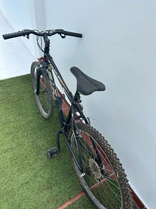 Bicicleta BH Ovex