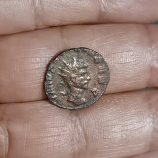 6 Monete. Vedi descrizione accurata.