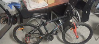 Bicicleta de Montaña