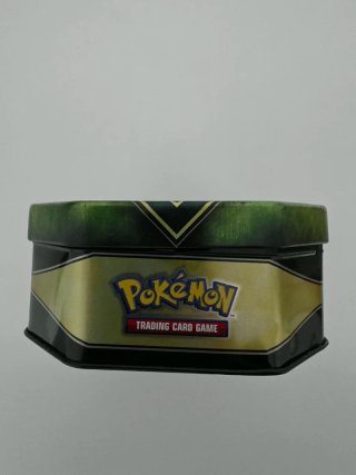 Scatola Latta Pokémon Rayquaza