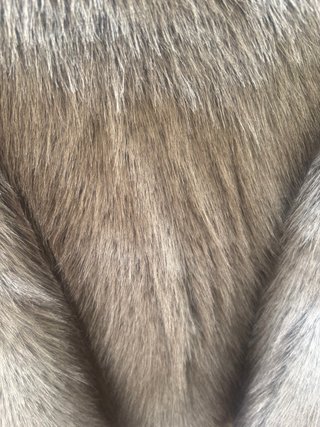 2 Abrigos pelo Zara Talla L