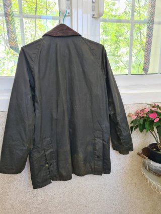 Barbour Bedale Chaqueta Verde , regalo el  gorro