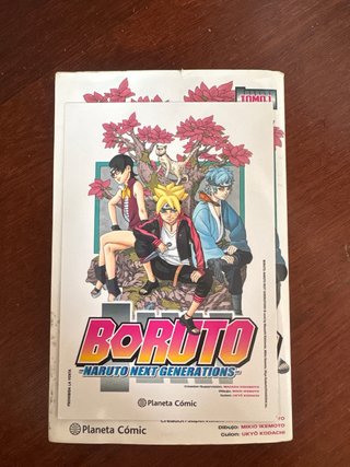LIBRO BORUTO