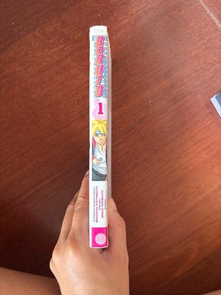 LIBRO BORUTO