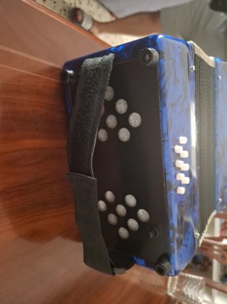 Fisarmonica Piano 22 Tasti 8 Bassi Blu