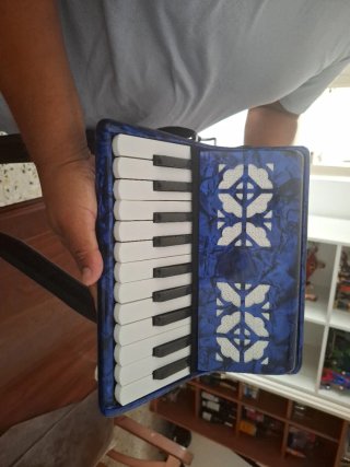 Fisarmonica Piano 22 Tasti 8 Bassi Blu