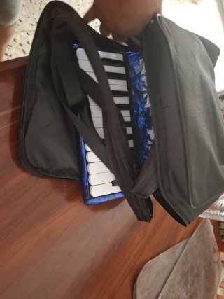 Fisarmonica Piano 22 Tasti 8 Bassi Blu