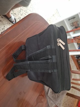 Fisarmonica Piano 22 Tasti 8 Bassi Blu