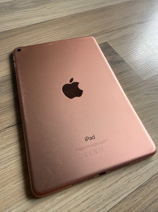 iPad Mini 5 64GB Rosa/Dorado