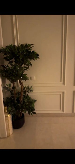 Reformas y Decoración: Pladur, Escayola, Pintura y