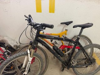 Bicicleta Specialized Rockhopper / Beast