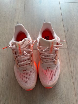 Nike Pegasus Premium - Casi Nuevas