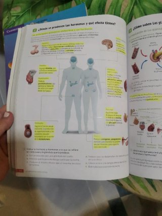 Biología y Geología. 3 Secundaria. Revuela