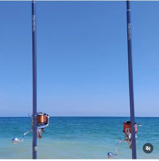 Cañas Daiwa Sky Caster 2