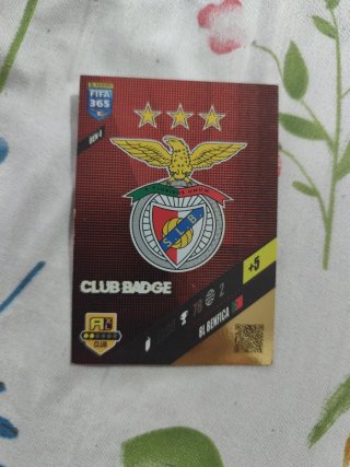 Cartas Panini