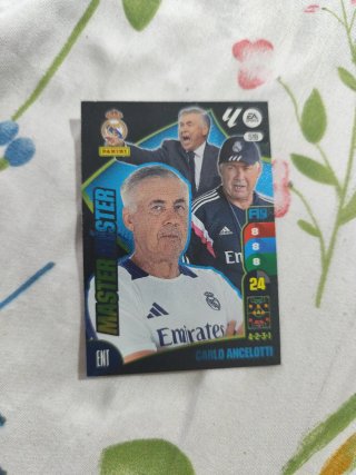 Cartas Panini