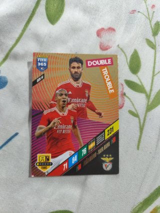 Cartas Panini
