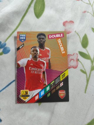 Cartas Panini