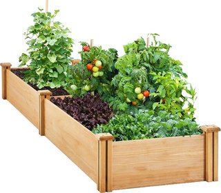 Letto Rialzato da Giardino in Legno Massiccio con Griglia