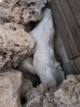 Piedras decorativas naturales