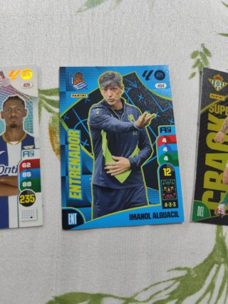 Cartas Panini