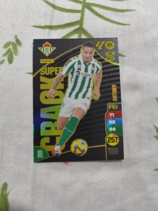 Cartas Panini