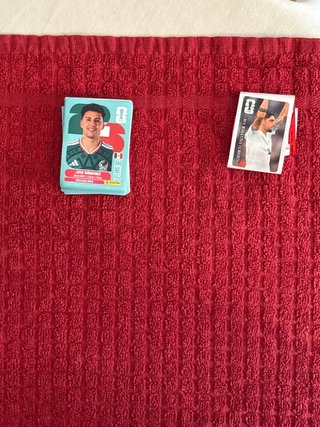 Cromos Mundial Panini