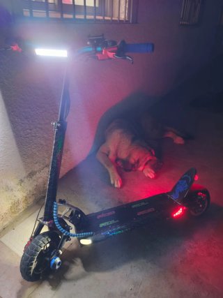 Patinete Eléctrico Skateflash