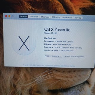 MacBook Pro Apple Plata y Azul