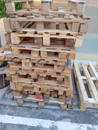 Palets de madera